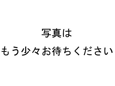 チワワ